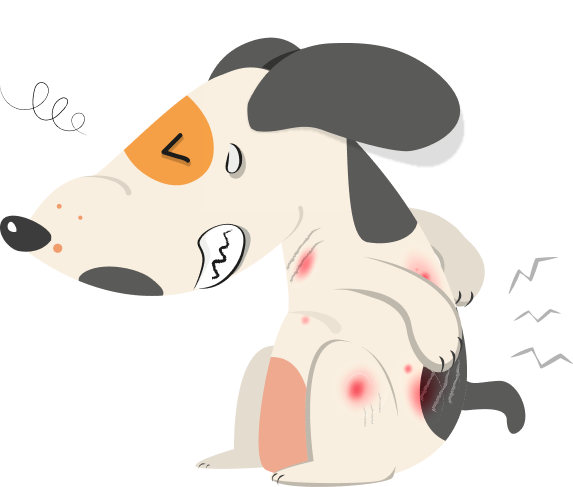 Perro con piel sensible